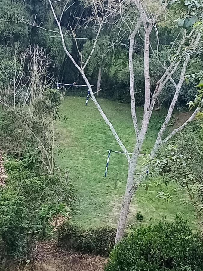 Agroturismo Villa Roman *