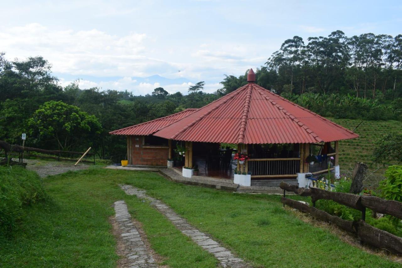 Agroturismo Villa Roman *
