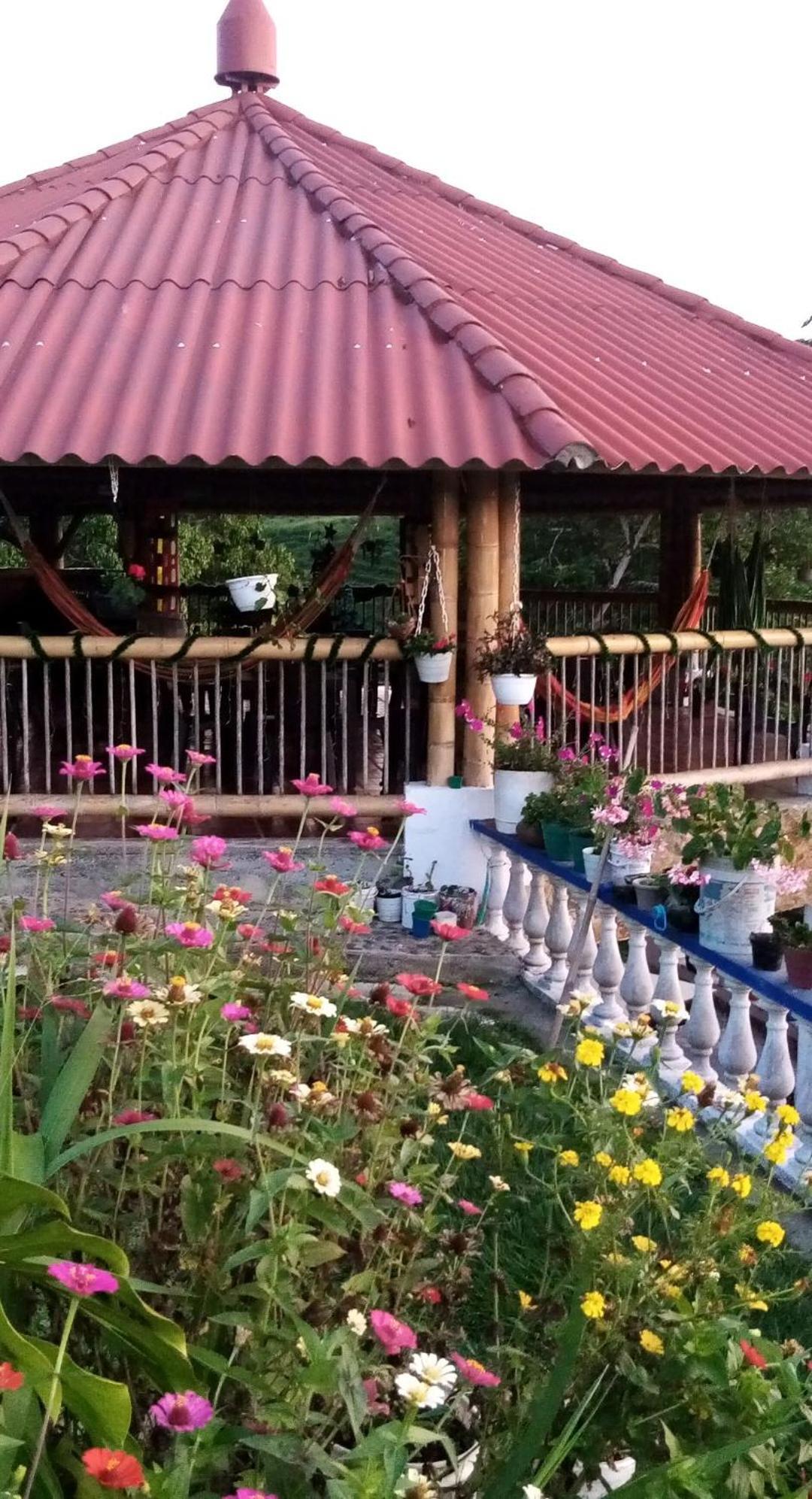 Agroturismo Villa Roman